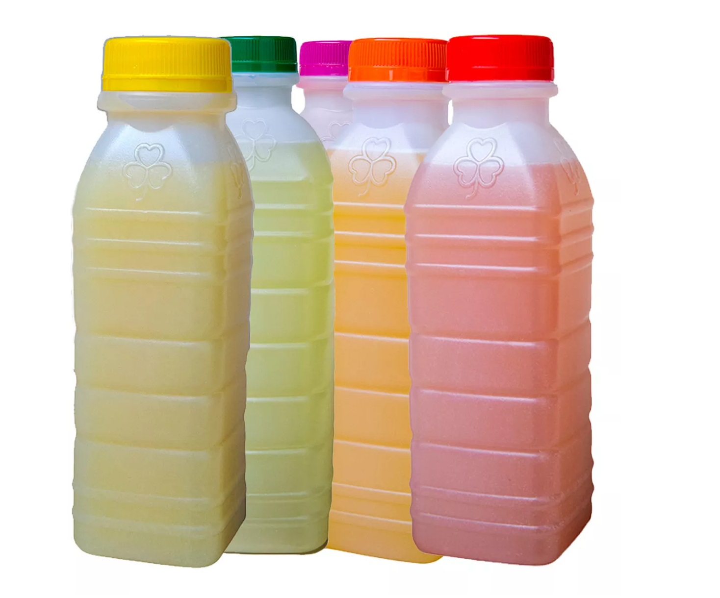 Suco sabores 300ml